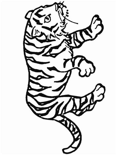coloring page tiger animal coloring pages