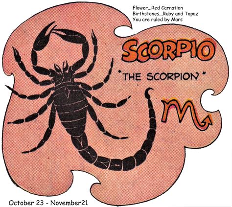 nora s nifty notions zodiac scorpio