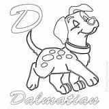 Coloring Dalmatian Puppies sketch template