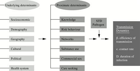 Determinants Of Std Epidemics Implications For Phase