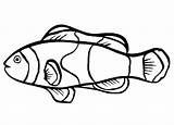 Ikan Nemo Mewarnai Sketsa Koi Lembar Pewarna sketch template