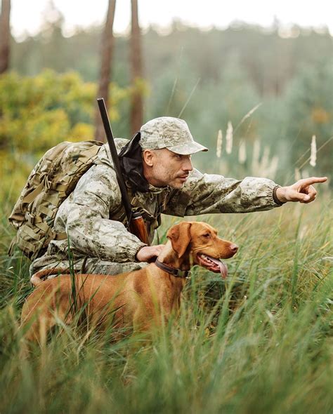 hunting dog breeds find  perfect hunting dog   family