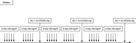 treatment schedule   azarela trial   scientific diagram
