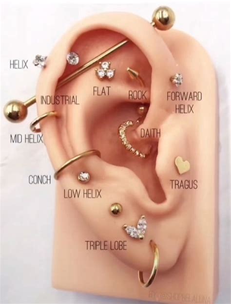 Piercing Spots Full Ear Piercings Earings Piercings Cool Ear Piercings