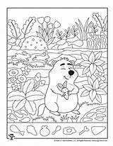 Hidden Groundhog Printable Object Printables Kids Print sketch template