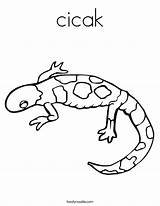 Gecko Cicak Leopard Effortfulg Twistynoodle Twisty Print sketch template