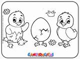 Pollitos Pollito Cancioncitas sketch template