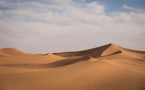 paraiso desertico estas son las dunas de mexico mas sorprendentes