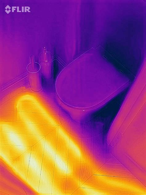 interpretation  thermal images energy efficient sustainable design concepts buildhuborguk