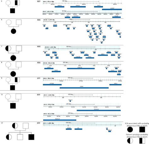 Sex Chromosome Aneuploidies And Copy Number Variants A Further