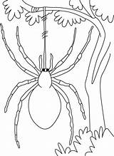 Spider Coloring Pages Swing Printable Kids Spinnen Spiders Kleurplaten Tree Spin Drawing Print Wind Colouring Herfst Minecraft Sheet Giant Sheets sketch template