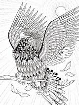 Coloring Eagle Flying Para Colorear Adult Stock Pages Imagenes Illustration Vector Aguilas Colour Del Animal Vuelo Depositphotos La Dibujos Drawing sketch template
