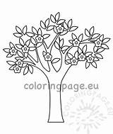 Tree Flowers Spring Template Coloring sketch template