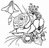 Trandafiri Colorat Planse Flori sketch template