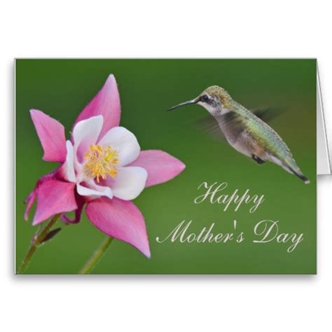 images  hummingbirds  pinterest happy mothers day galleries  ecuador
