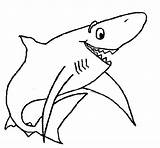 Tiburones Squalo Tiburon Shark Tiburón Requin Joyeux Stampare Alegre Animali sketch template