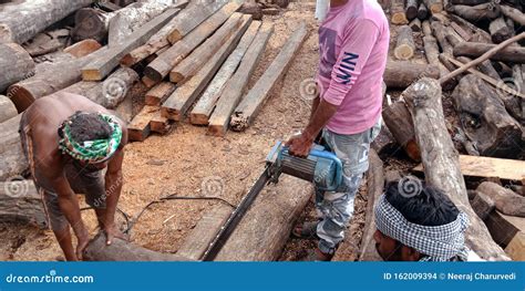 indian woodworkers cutting wood logs  electric  machine  godown
