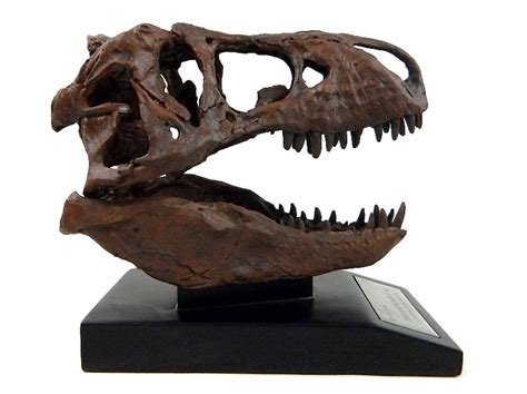 review master replicas smithsonian nations trex tenth scale fossil