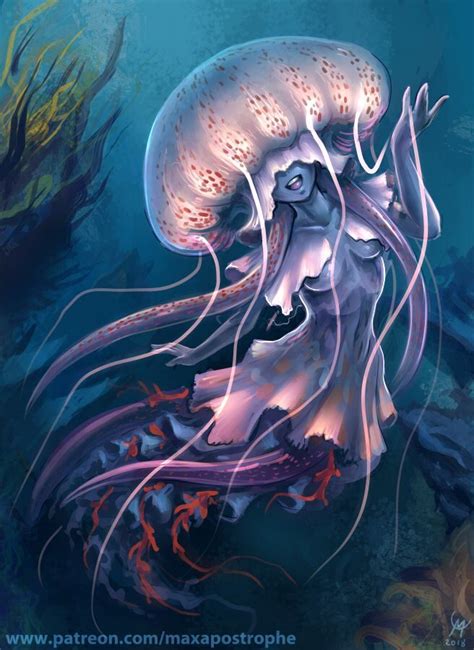 jellyfish  maxa art jellyfish art jellyfish illustration mermaid