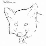 Coyote Coloring Pages Headstudy Color Kids Index Own sketch template