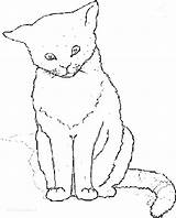 Pages Cat Coloring Real Getcolorings Realistic Printable sketch template