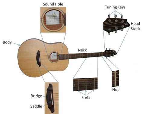 basic diagram parts  acoustic guitar anatomy   instrument pinterest acoustic