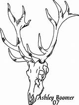 Elk Skull Clipart Head Drawing Tattoo Deer Drawings Skulls Cartoon Sideways Cliparts Coloring Flames Pages Draw Getdrawings Template Tattoos Deviantart sketch template