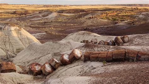 petrified forest national park  tips   visit