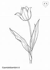 Tulipani Portalebambini sketch template