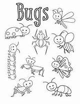 Coloring Bugs Pages Bug Insect Insects Sheets Preschool Printable Colouring Worksheets Activities Kids Print Little Template Crafts Funny Different Animal sketch template