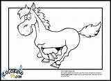 Horses Homecolor sketch template