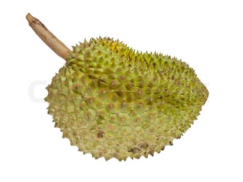 durian fruechte stock bild colourbox