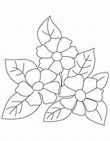 Coloring Pages Camellia Small Flowers Flower Kids Bestcoloringpages Beautiful Colouring Sheets Printable Books Motifs Embroidery sketch template