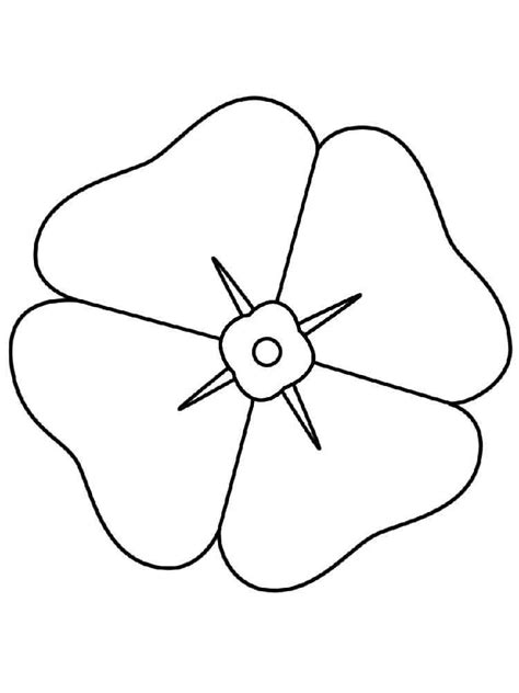 poppy flower coloring page youngandtaecom flower coloring pages