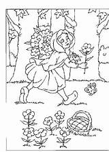 Roodkapje Caperucita Czerwony Kapturek Roja Bloemen Plukt Kolorowanki Kapje Rood Chaperon Coloriages Rotkappchen Dzieci Ausmalbilder Bosque Bonnet Heros Malvorlage Animaatjes sketch template