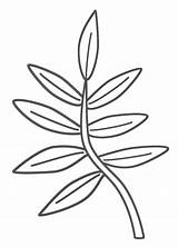 Plants Coloringhome sketch template
