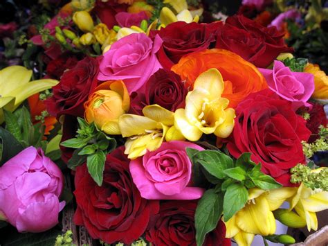 Colorful Roses Hd Wallpaper Background Image 2000x1500