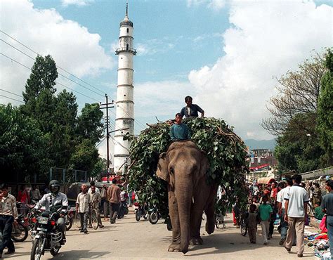Monumental Losses From Earthquake Stun Nepal