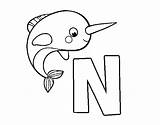 Narwhal Coloring Coloringcrew sketch template