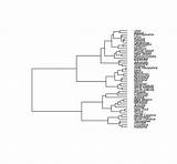 Dendrogram Visualizations Beautiful Unsupervised Learning Machine Visualization Methods Known Must Sthda Plot Cladogram Phylogenetic Hc Cex Phylo Offset Label Type sketch template