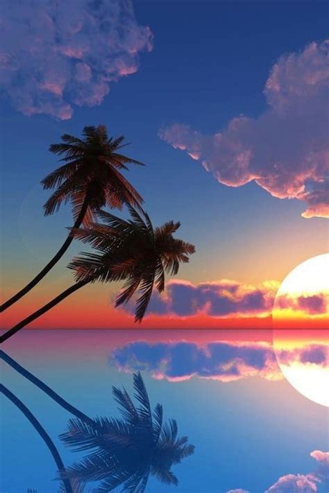 a beautiful tropical sunset in the south pacific travel dreamdestinations photography the