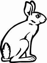 Coloring Hare Jackrabbit Arctic Pages Bunny Drawing Printable Clipart Categories Clipartmag Supercoloring Silhouettes sketch template