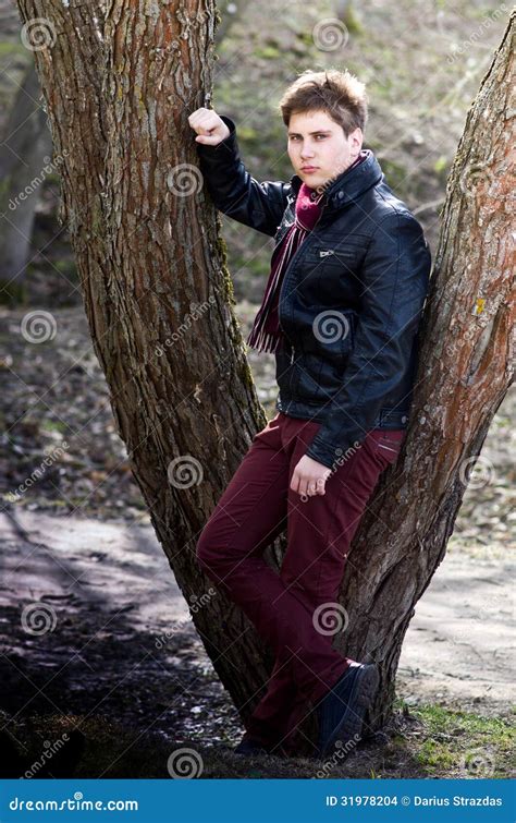 man standing  tree outdoor stock photo image   falling