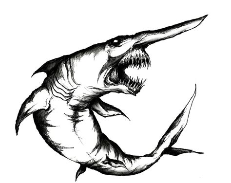 goblin shark coloring page clip art library