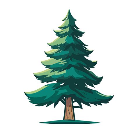 pine tree png clipart transparent background   png