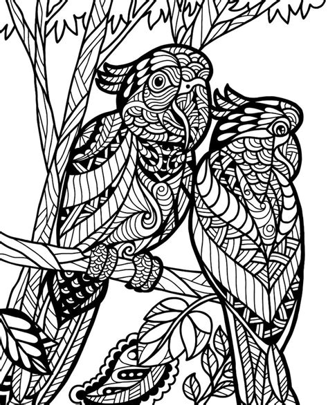 wild animals volume  image  coloring pages drawings coloring books