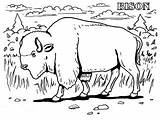 Bison Bizon Kolorowanki Dzieci Pobrania Buffalo Bisontes Coloringbay Bestcoloringpagesforkids sketch template