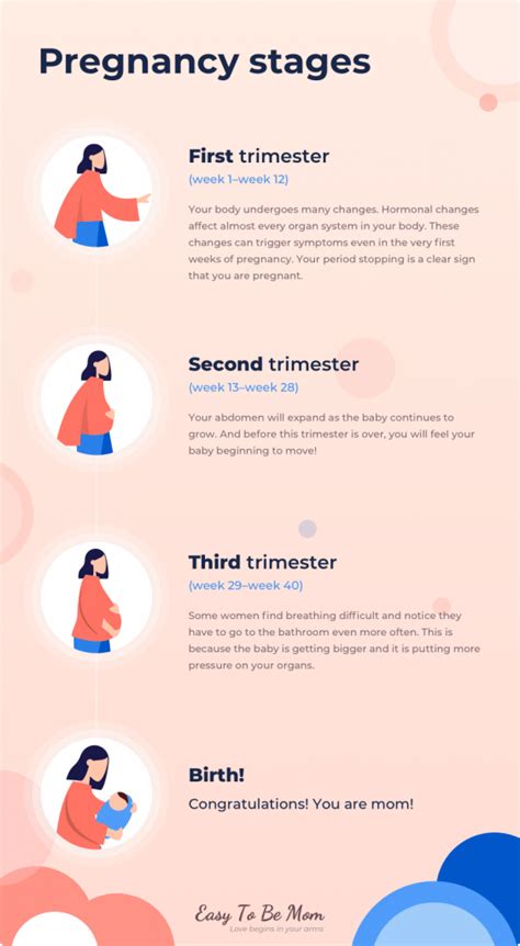 pregnancy by trimester a to z guide on stages of pregnancy