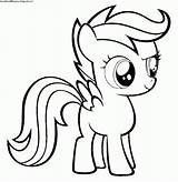 Scootaloo Ponys Celestia Mlp Princesse Poney Trama sketch template