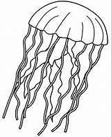 Jellyfish Topcoloringpages Medusa Sheets sketch template
